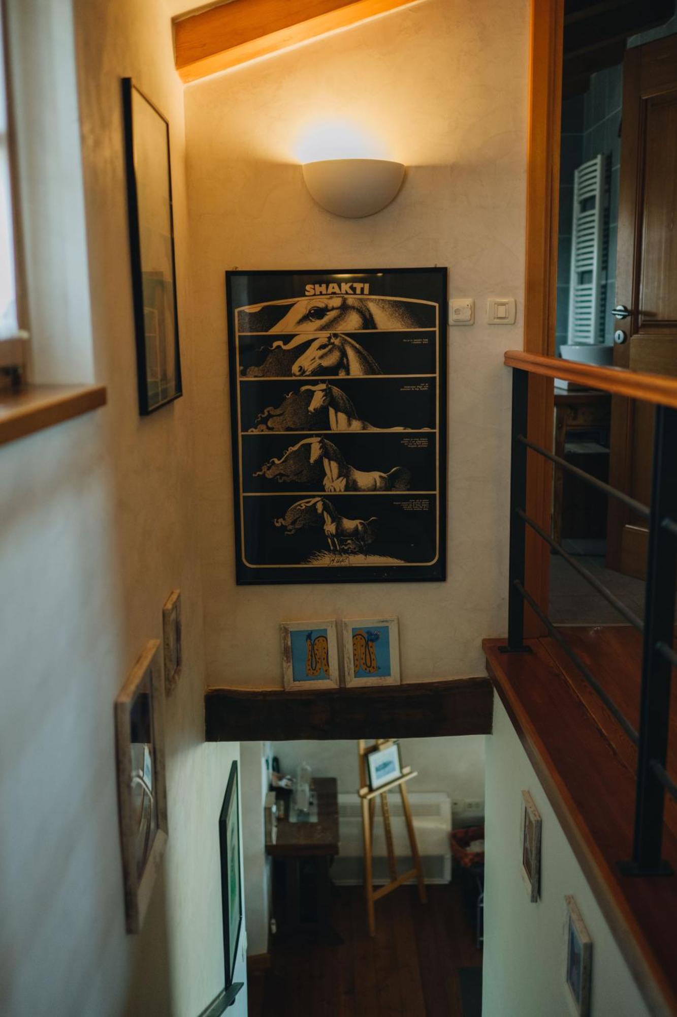 Dreamhill Meloni Villa Motovun Dış mekan fotoğraf